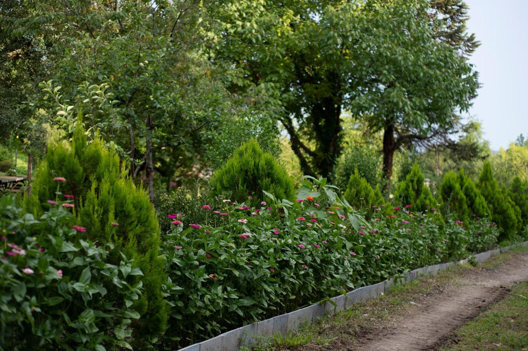 Gordela Hotel Gordi Zewnętrze zdjęcie